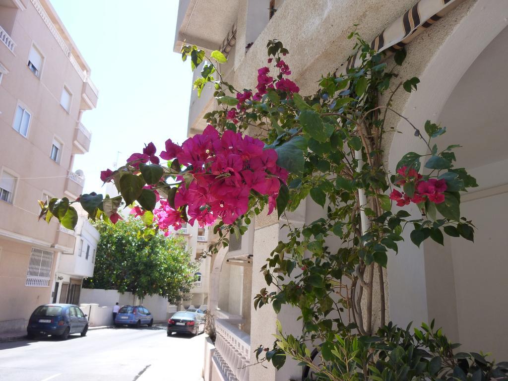The Cozy Apartment Torrevieja Eksteriør billede